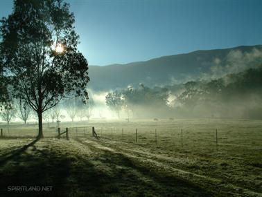 High Country Cottage, Harrietville, Victoria - 9
